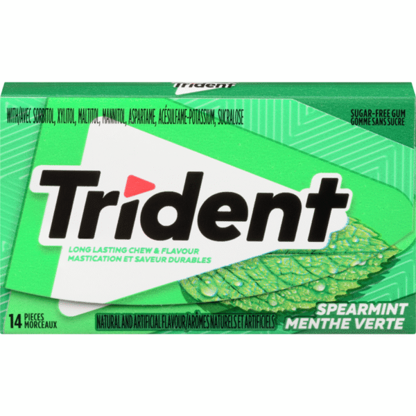 Gum Trident Menthe Verte - x14